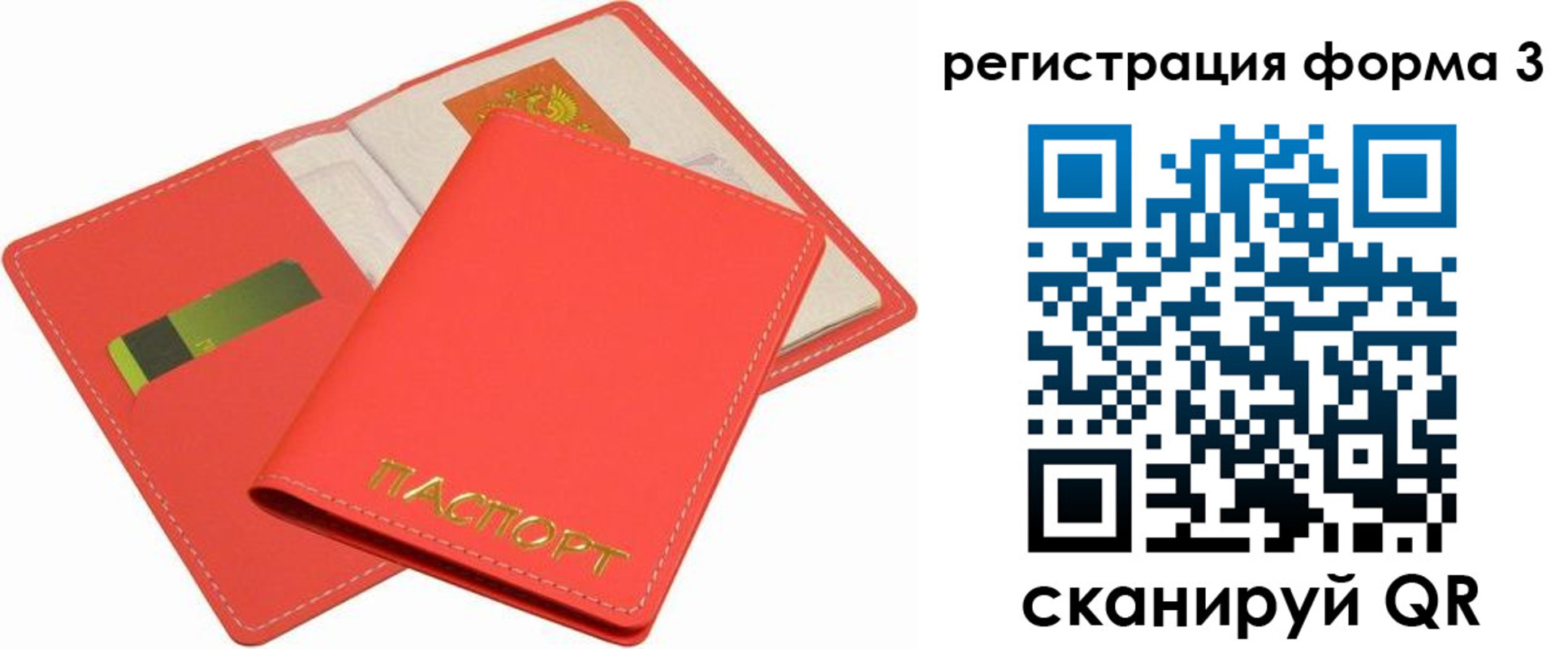 прописка для школы в Благодарном